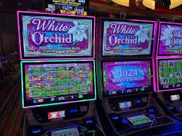 Stake and session options in Play'n GO games